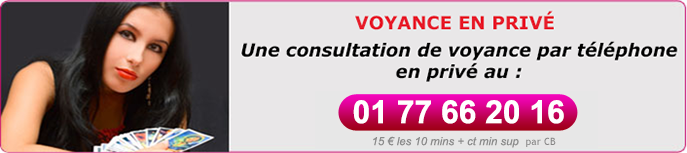 consulter